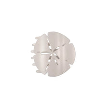 Sand Dollar | Small | Flat Shape Hair Clip