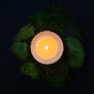 Apothecary Collection - Amber & Oak - Soy Candle