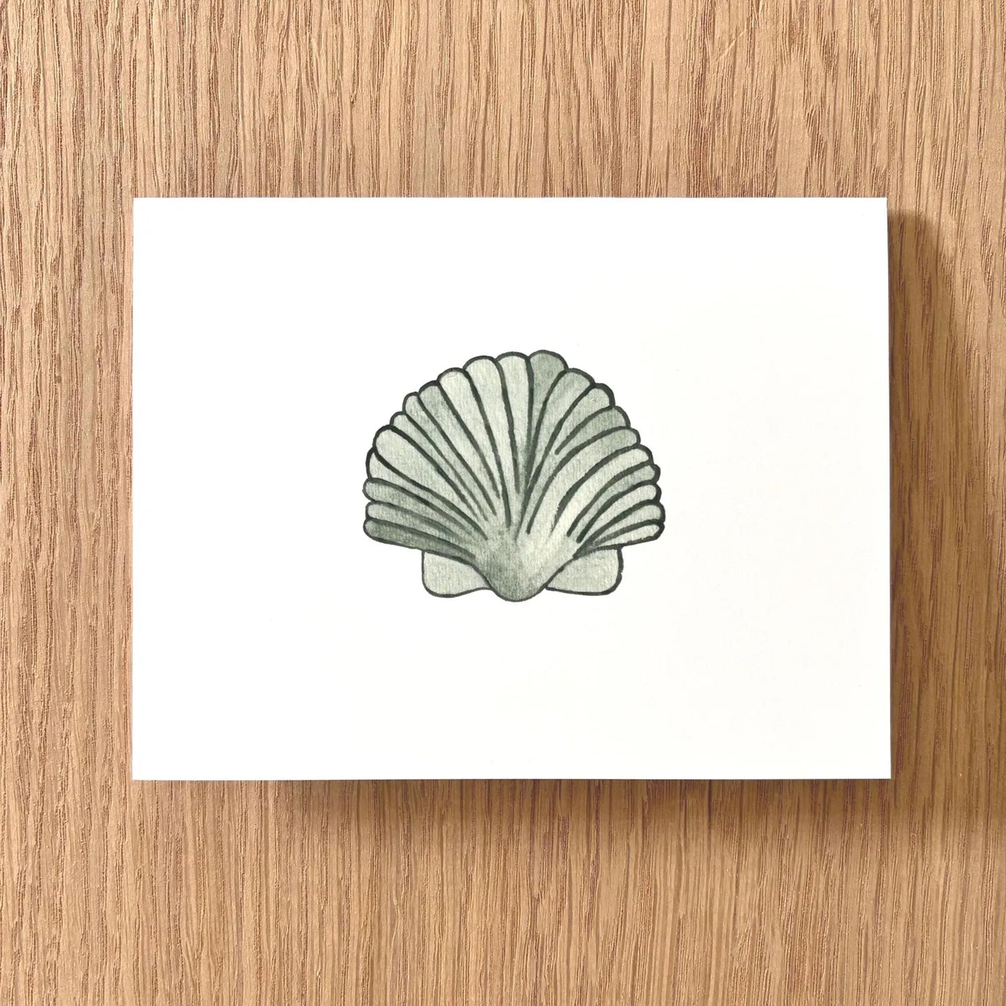 Sage Scallop Watercolor Greeting Card by Swell Art Company