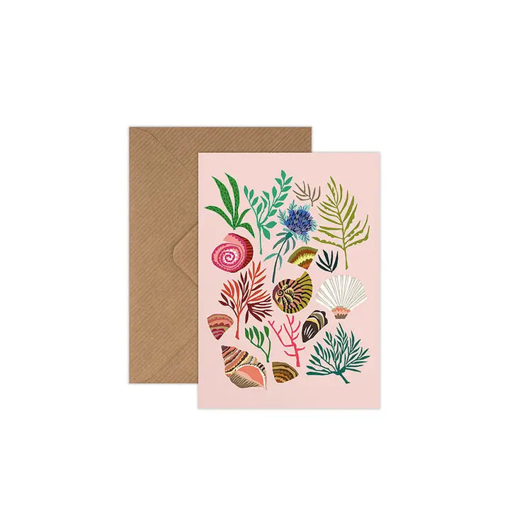 Shells & Seaweed Greetings Card